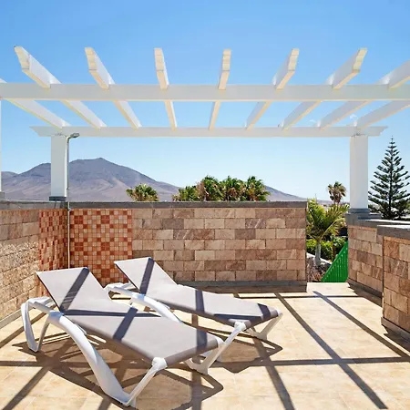 Olive Playa Blanca (Lanzarote)